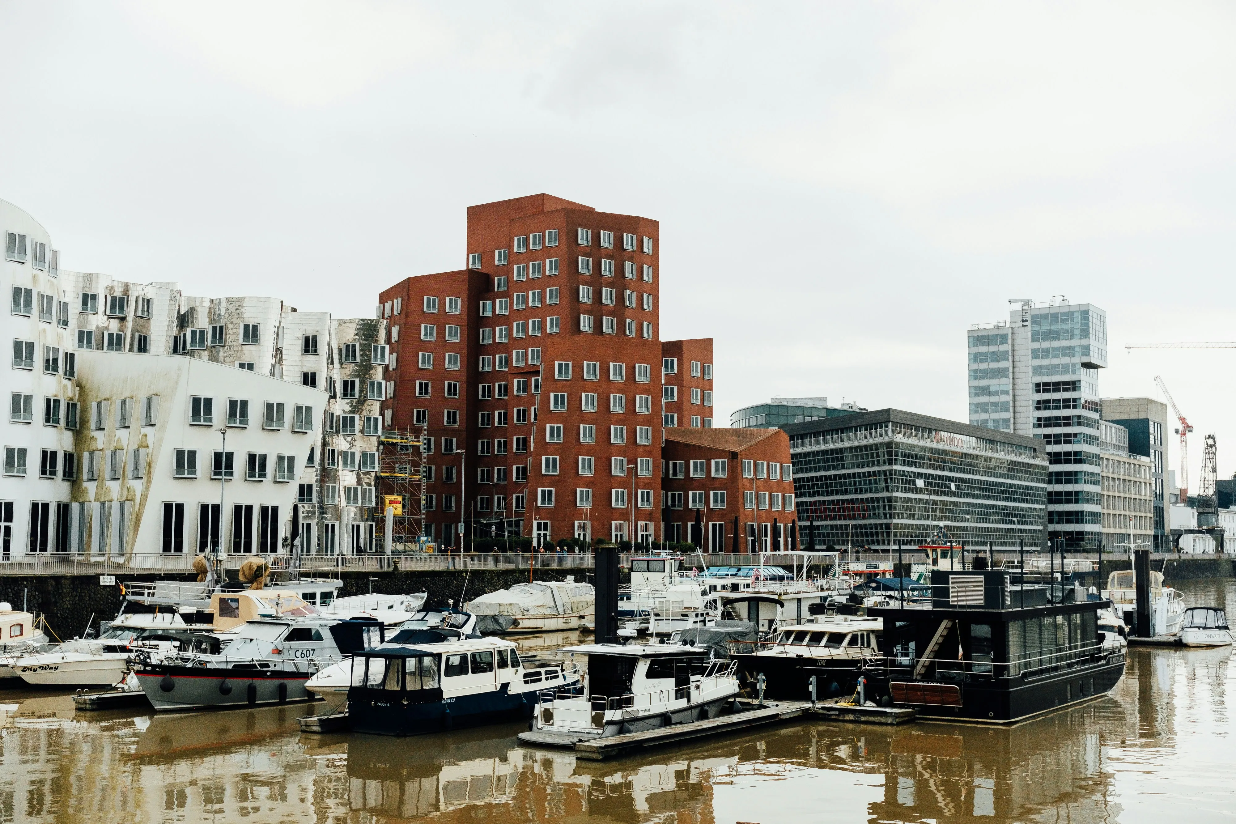 Professionelle Vertretung